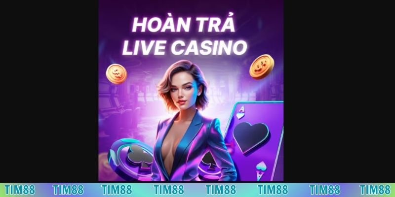 Chơi cá cược casino nhận ngay hoàn trả 20%