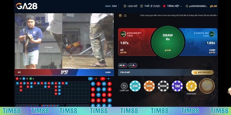 Đá gà Tim88 luôn đảm bảo được sự minh bạch và công bằng