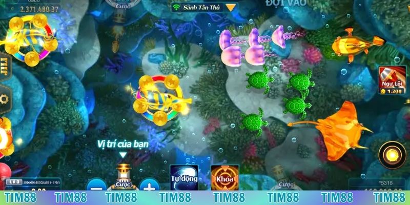 Đóng băng con mồi để thành công hạ gục chúng