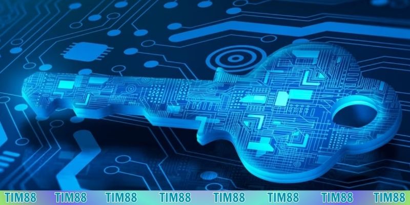 Dữ liệu cá nhân được thu thập để xác minh danh tính