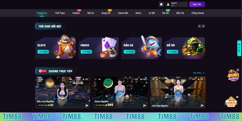 Tác giả Tim88 và nhà cái đã gặt hái được thành công to lớn