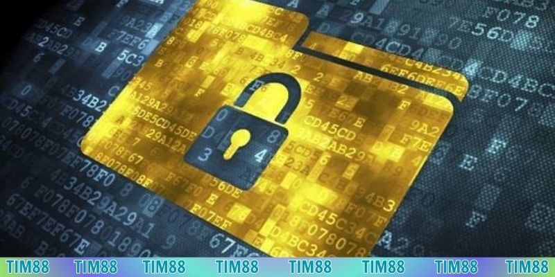 Thông tin kỹ thuật nhằm tối ưu giao diện